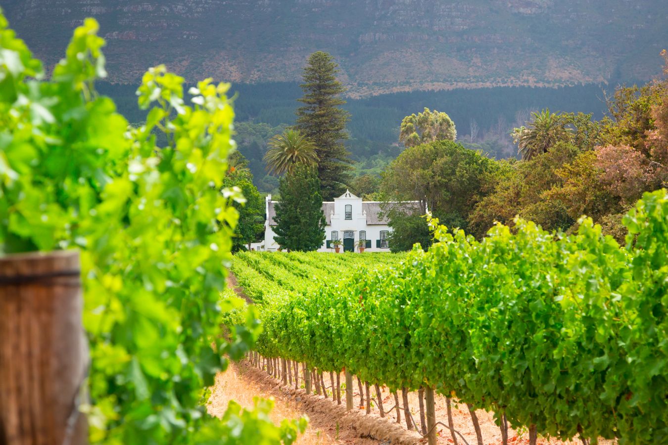 Cape Town Region 3