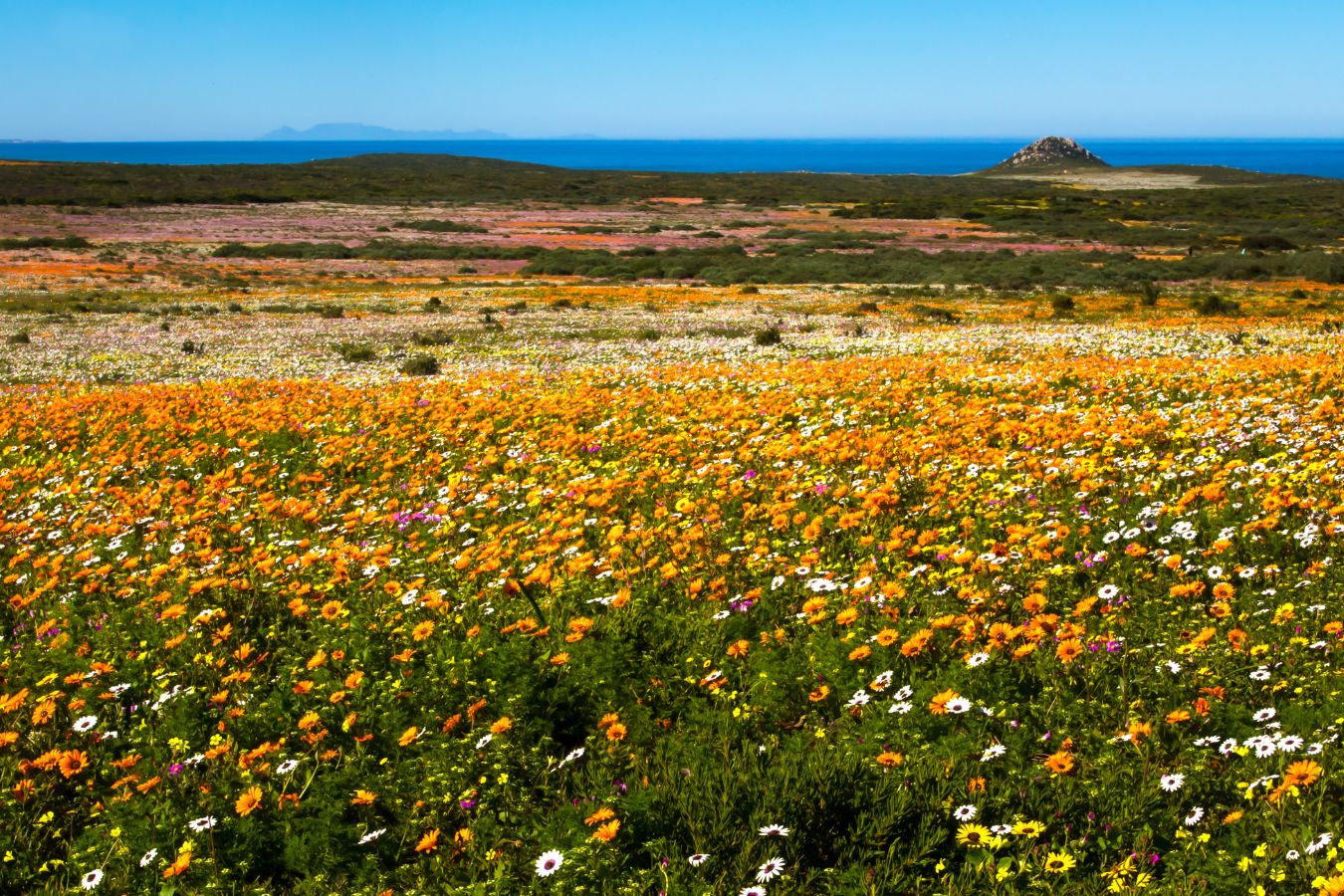 Cape Town Region 4